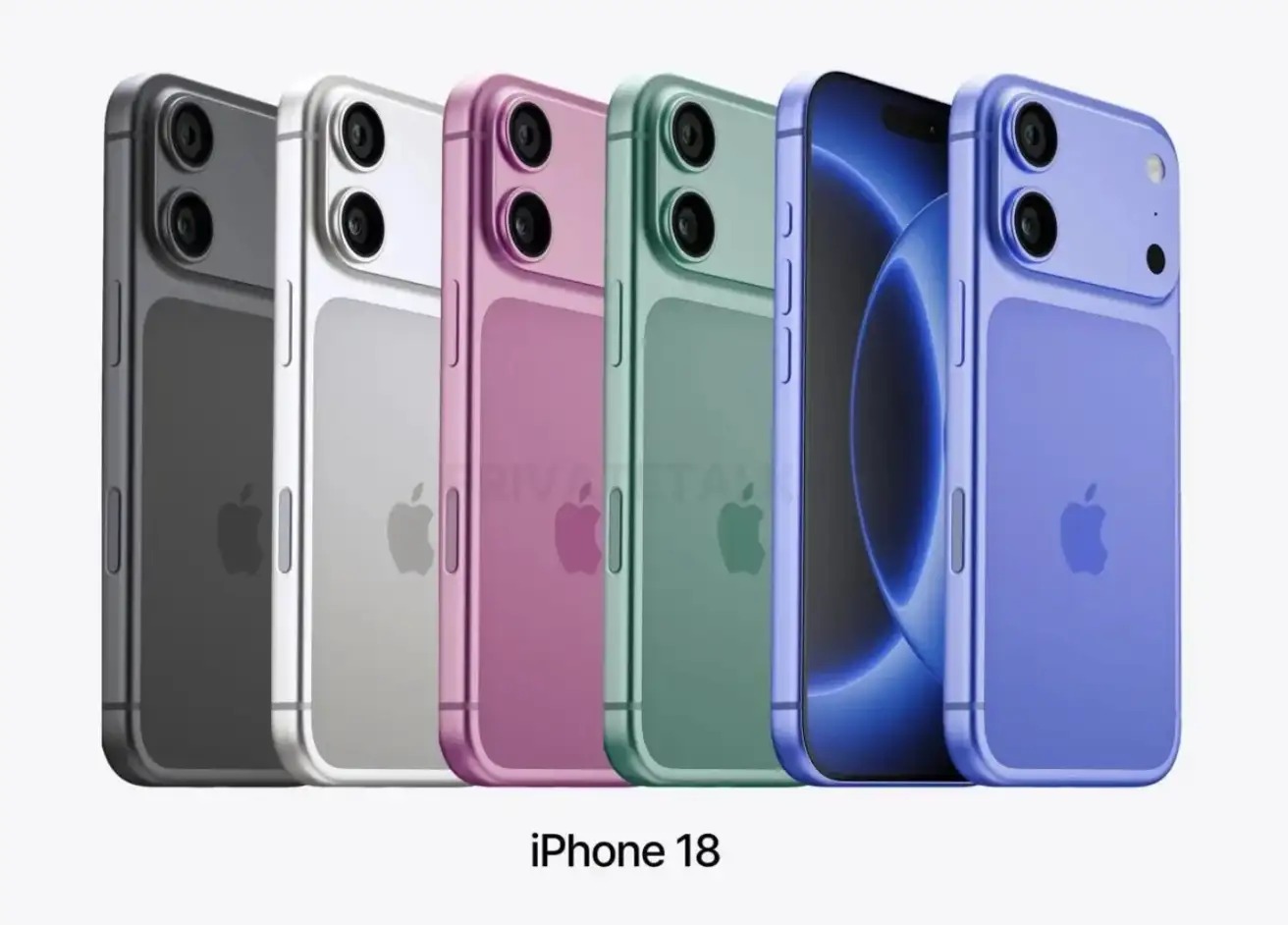 45531043.jpg